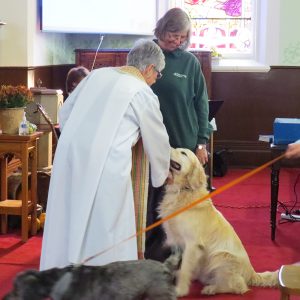 Animal blessed at the annual service