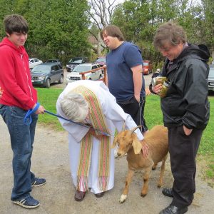 Animal blessed at the annual service